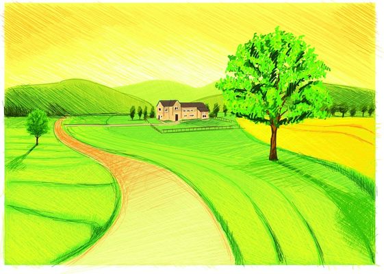 江西靖安：雨后山林映田园 绿水青山释放生态红利