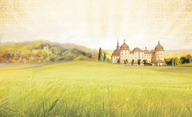 山东东阿：农文旅融合让田园变乐园